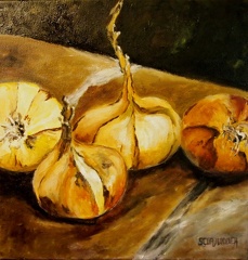 Oignons de l'année,